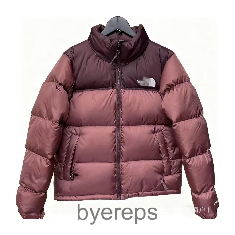 The North Face 1996 tnf puffer — photo 2 of 4