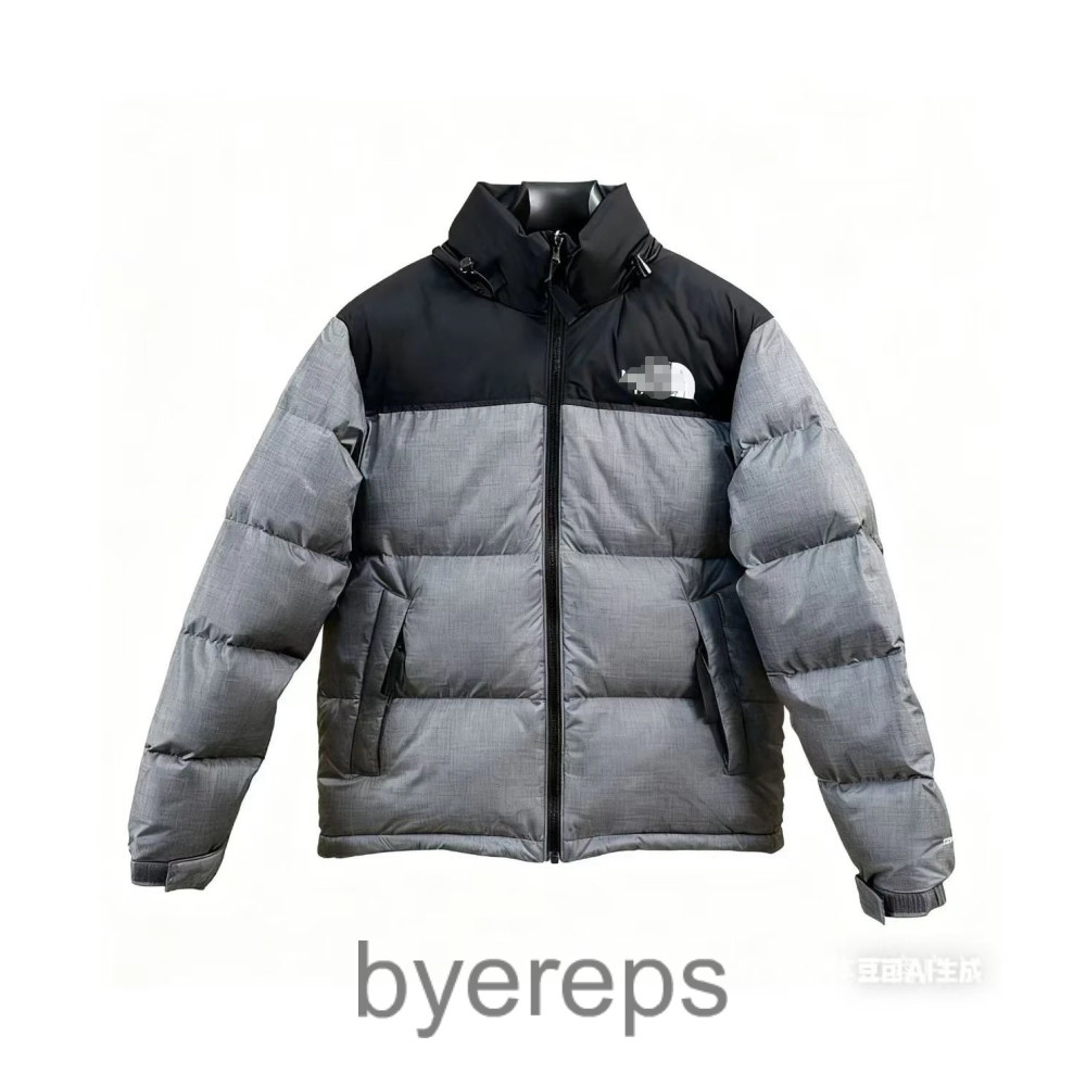 The North Face 1996 tnf puffer — photo 3 of 4