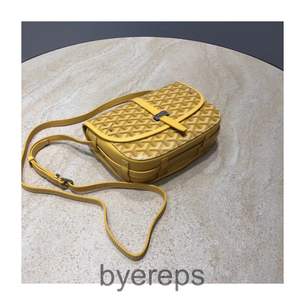 30+ Goyard Bags — photo 2 of 4