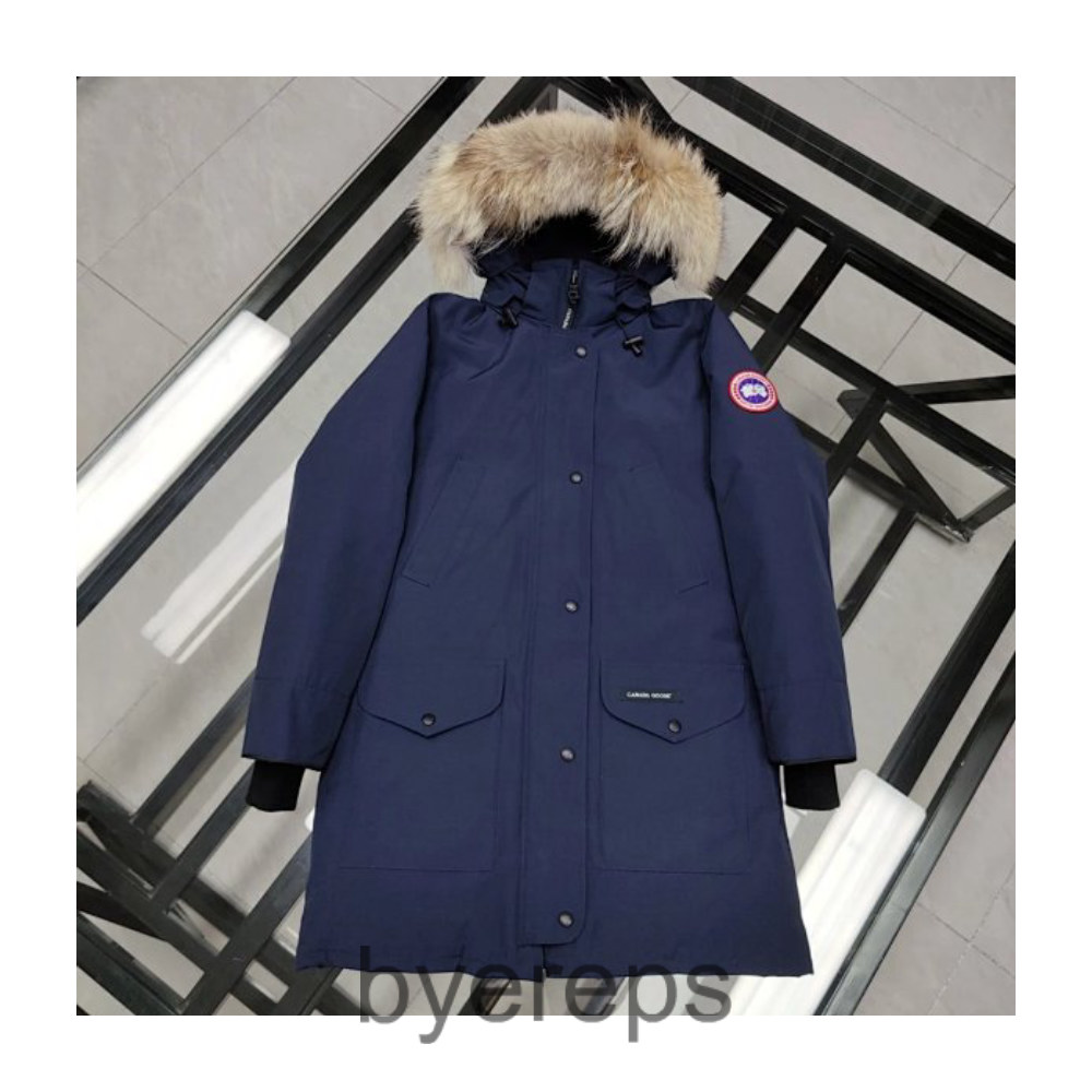 $380-850 Casual Fashion Down Jacket