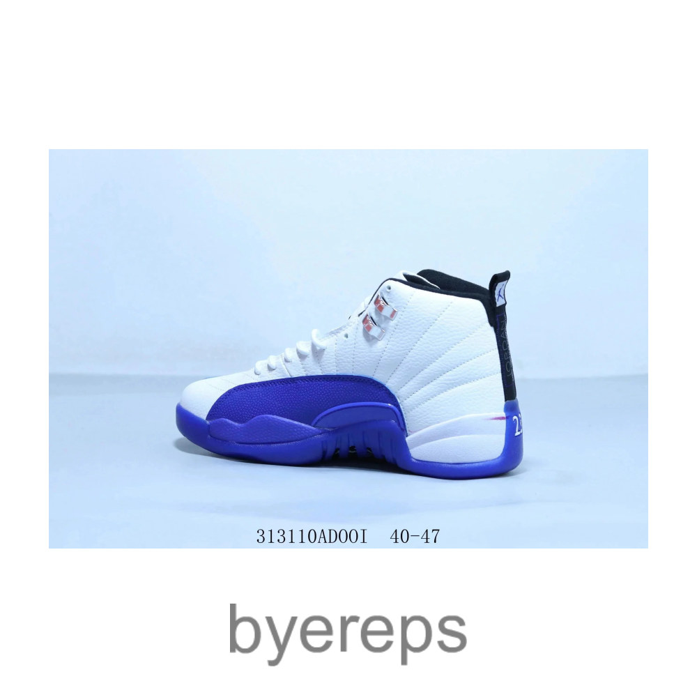 Air jordan 12