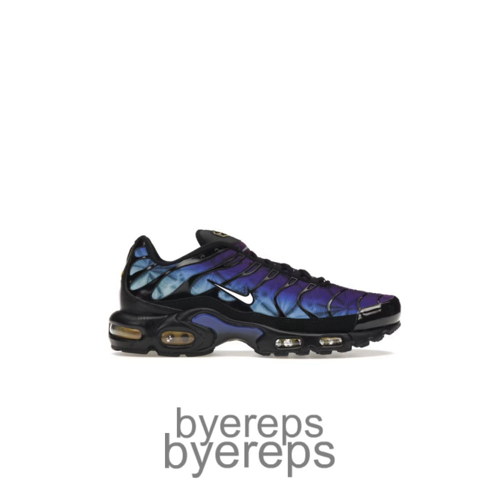 Air Max Plus 25th Anniversary