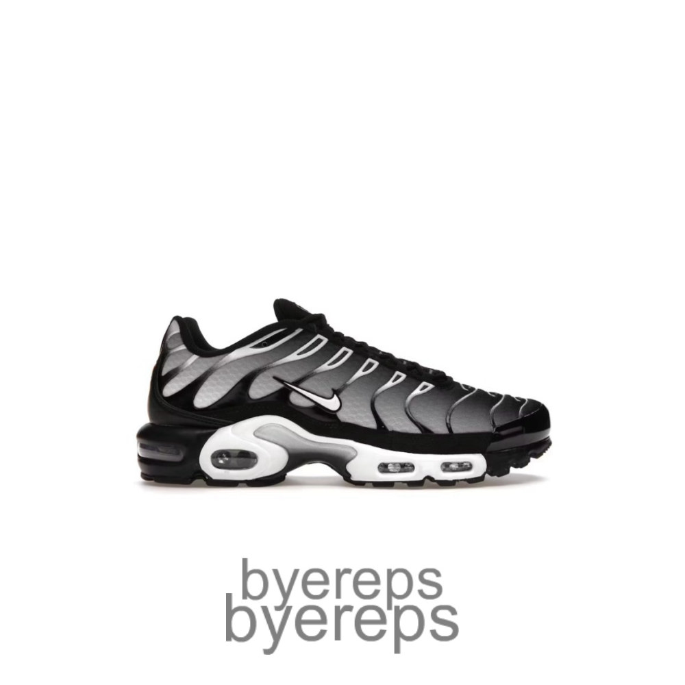 Air Max Plus Black Silver White