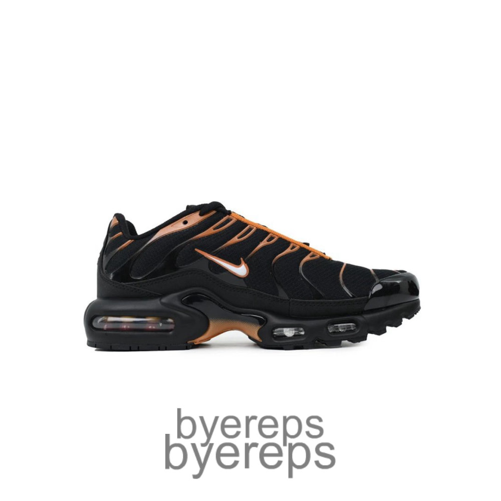 Air Max Plus Dark Obsidian Monarch