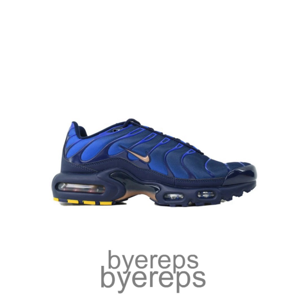 Air Max Plus French Football Federation