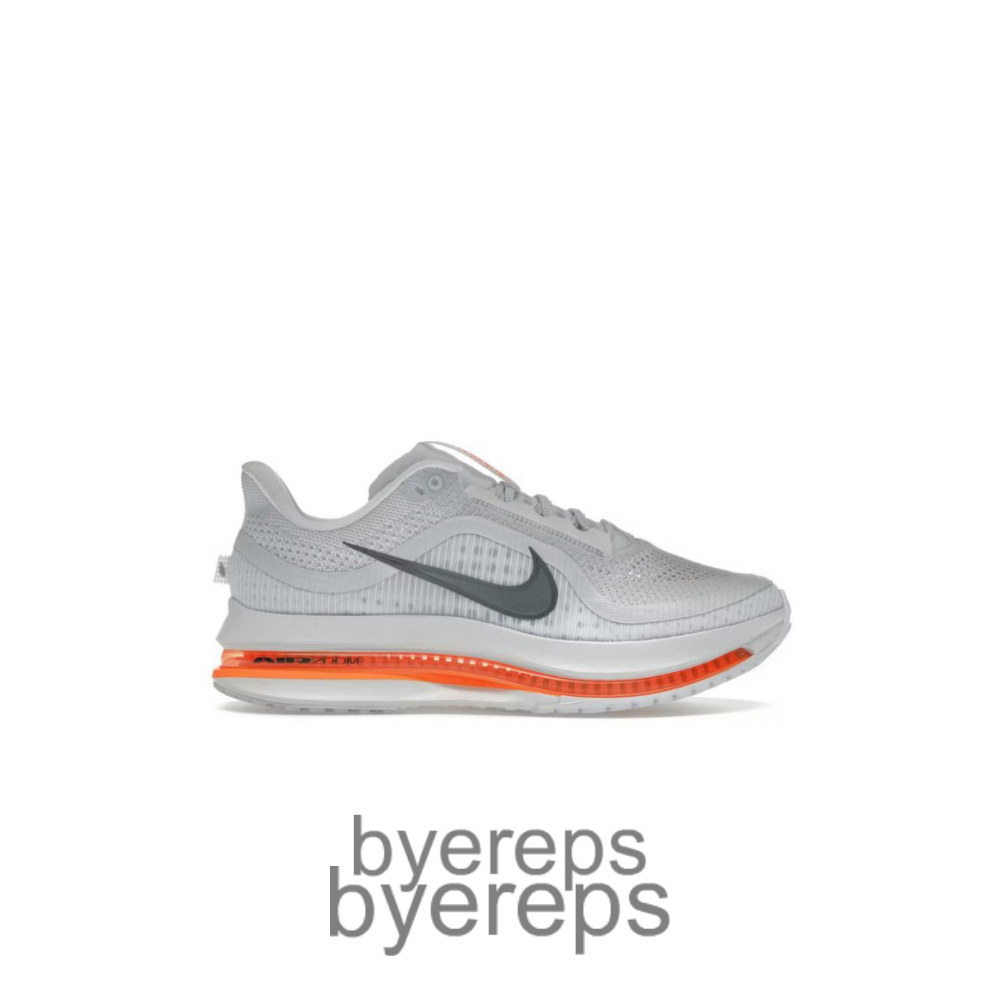 Air Zoom Pegasus Premium Airscape
