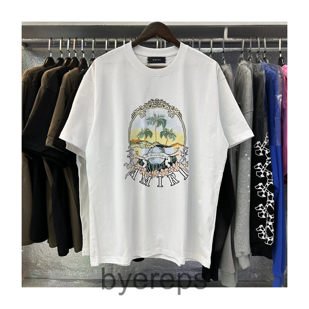 Amiri tee ( has black also )