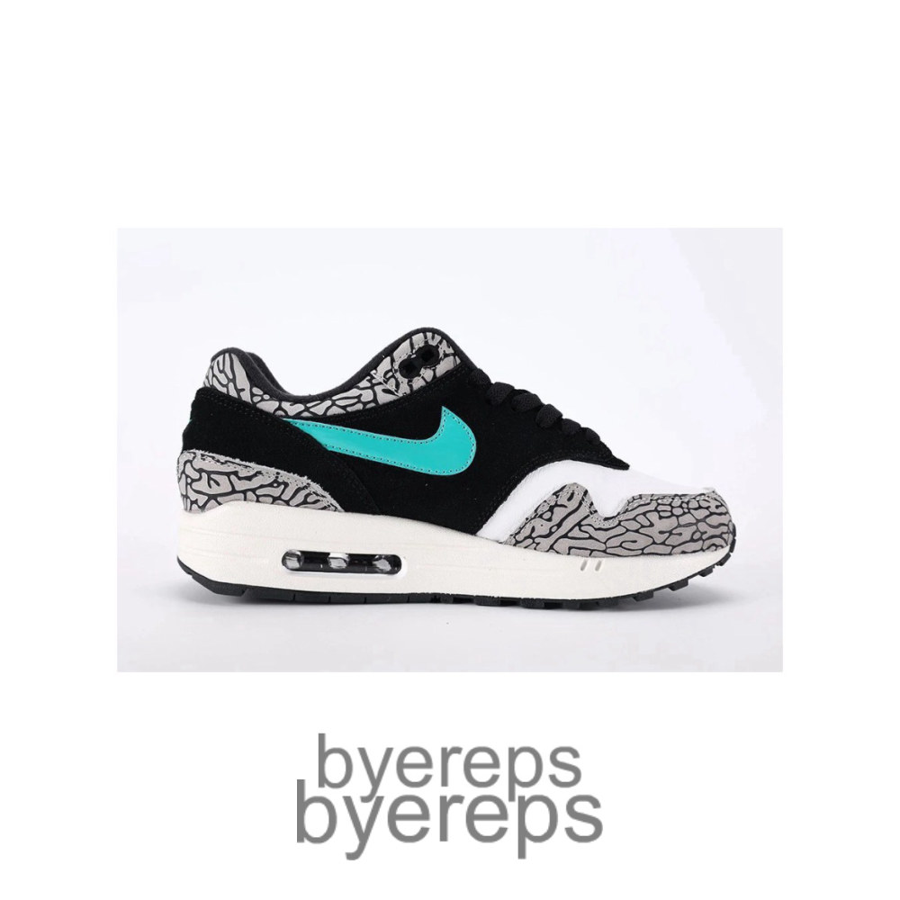Atmos X Air Jordan X Air Max 1 Elephant