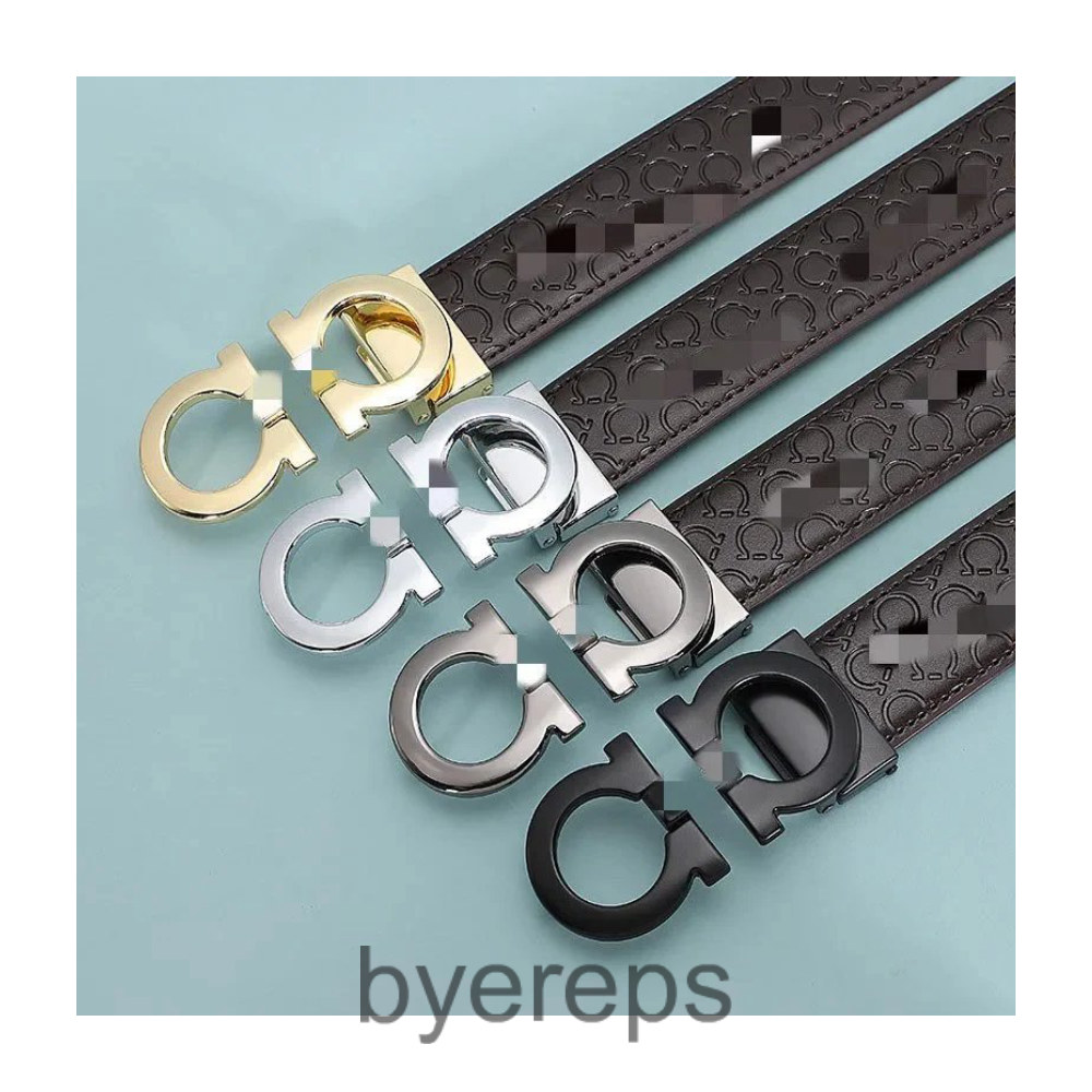 Best Budget Ferragamo Belt
