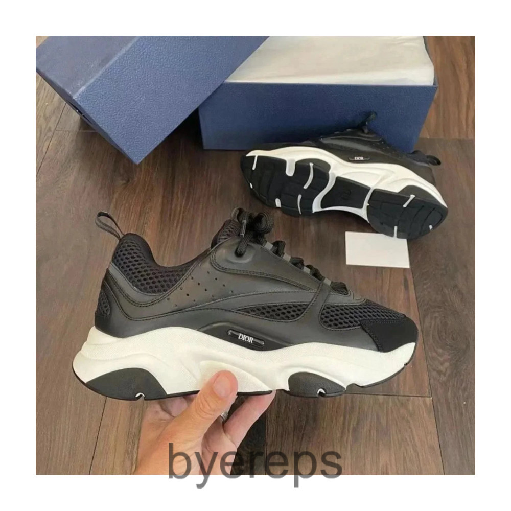 Budget Dior B22