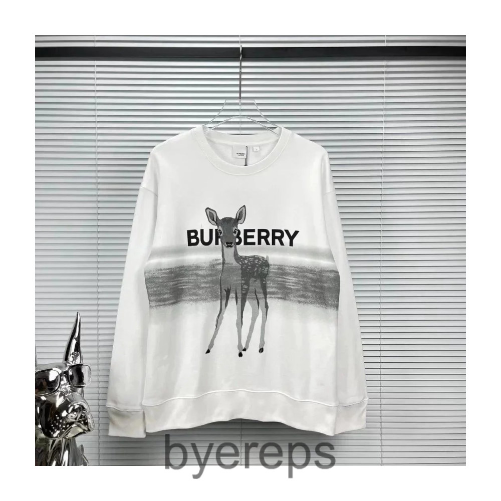 Burberry Hoodie — photo 3 of 4