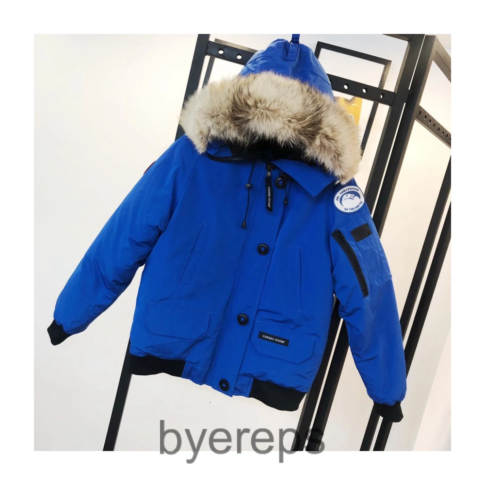 Unbranded Canada Goose Down Jacket — photo 4 of 4