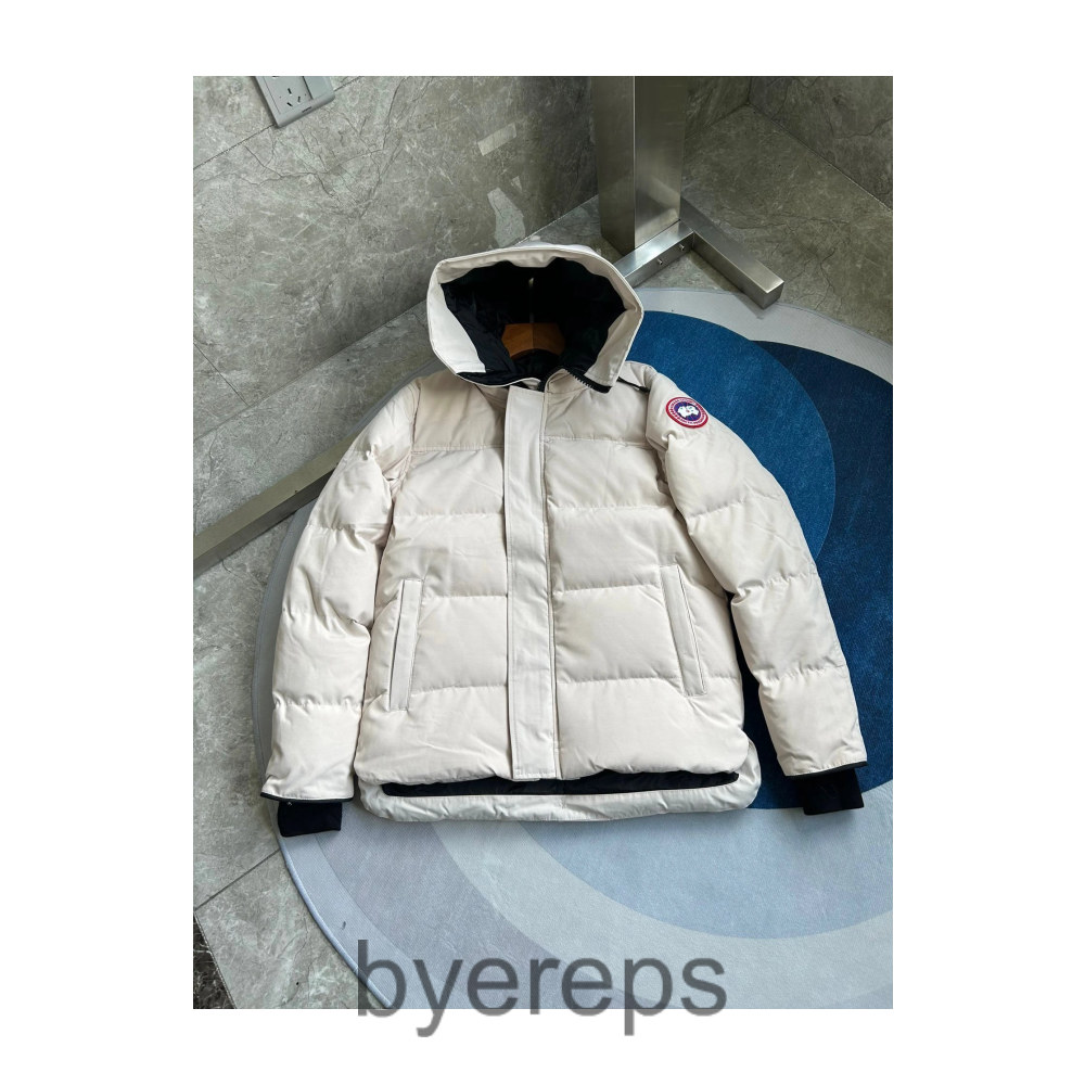 Unbranded Canada Goose Jackets — photo 4 of 4