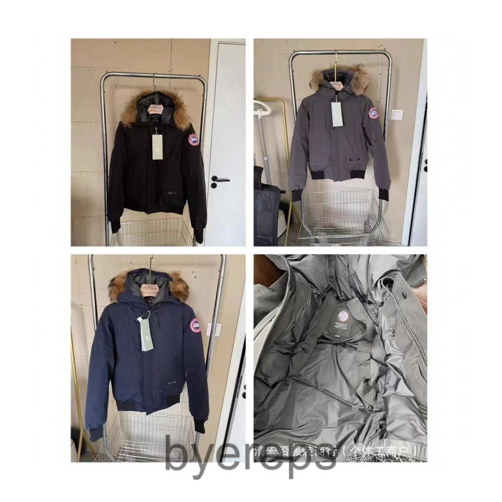 Canada goose parka ( has more )