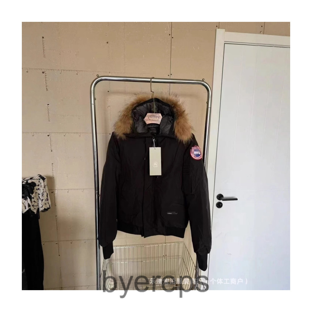 Unbranded Canada goose parka ( has more ) — photo 2 of 4