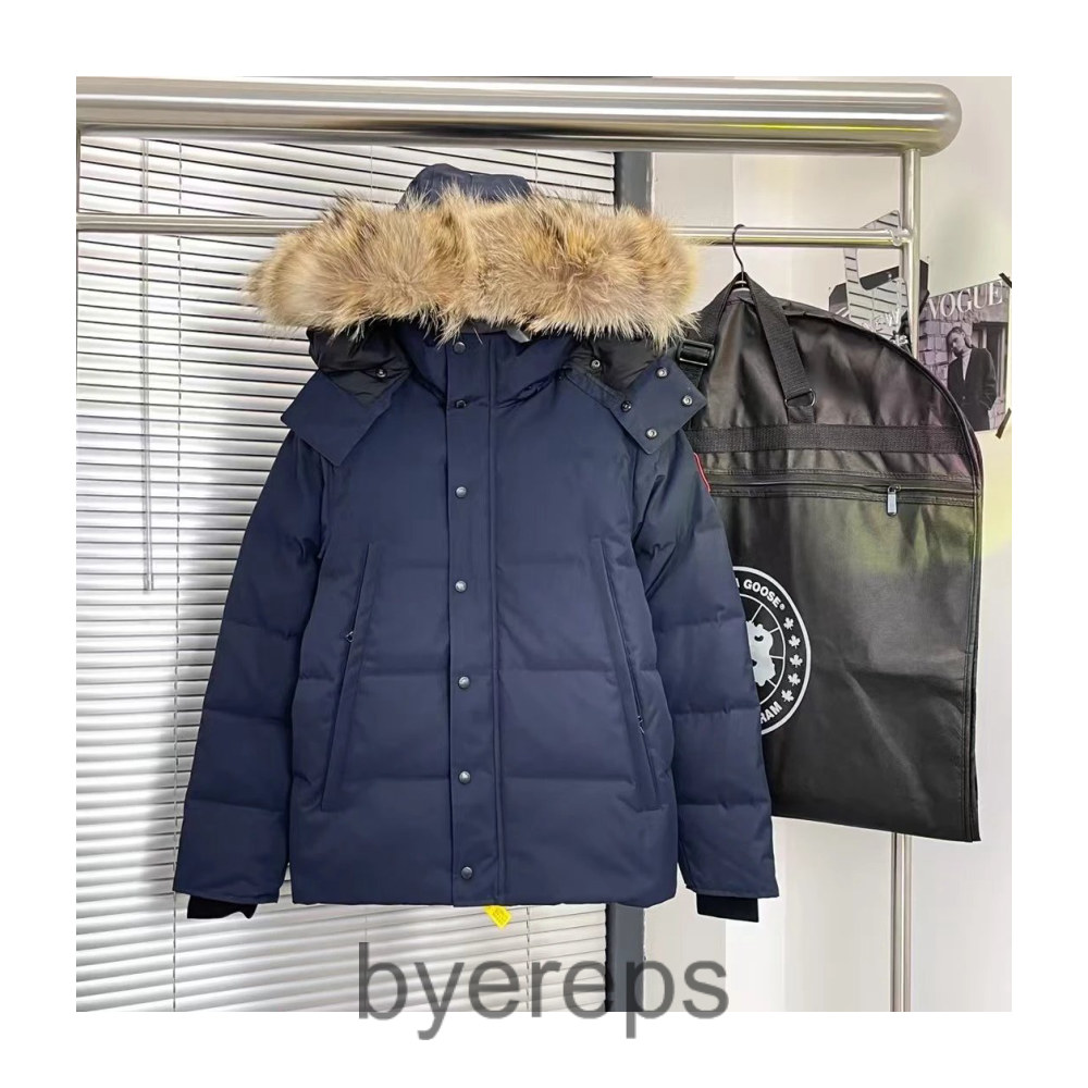 Unbranded Canada Goose Puffer Jacket — photo 4 of 4