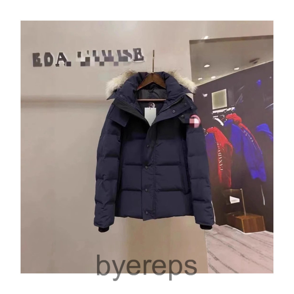 Unbranded Canada goose puffers — photo 2 of 4