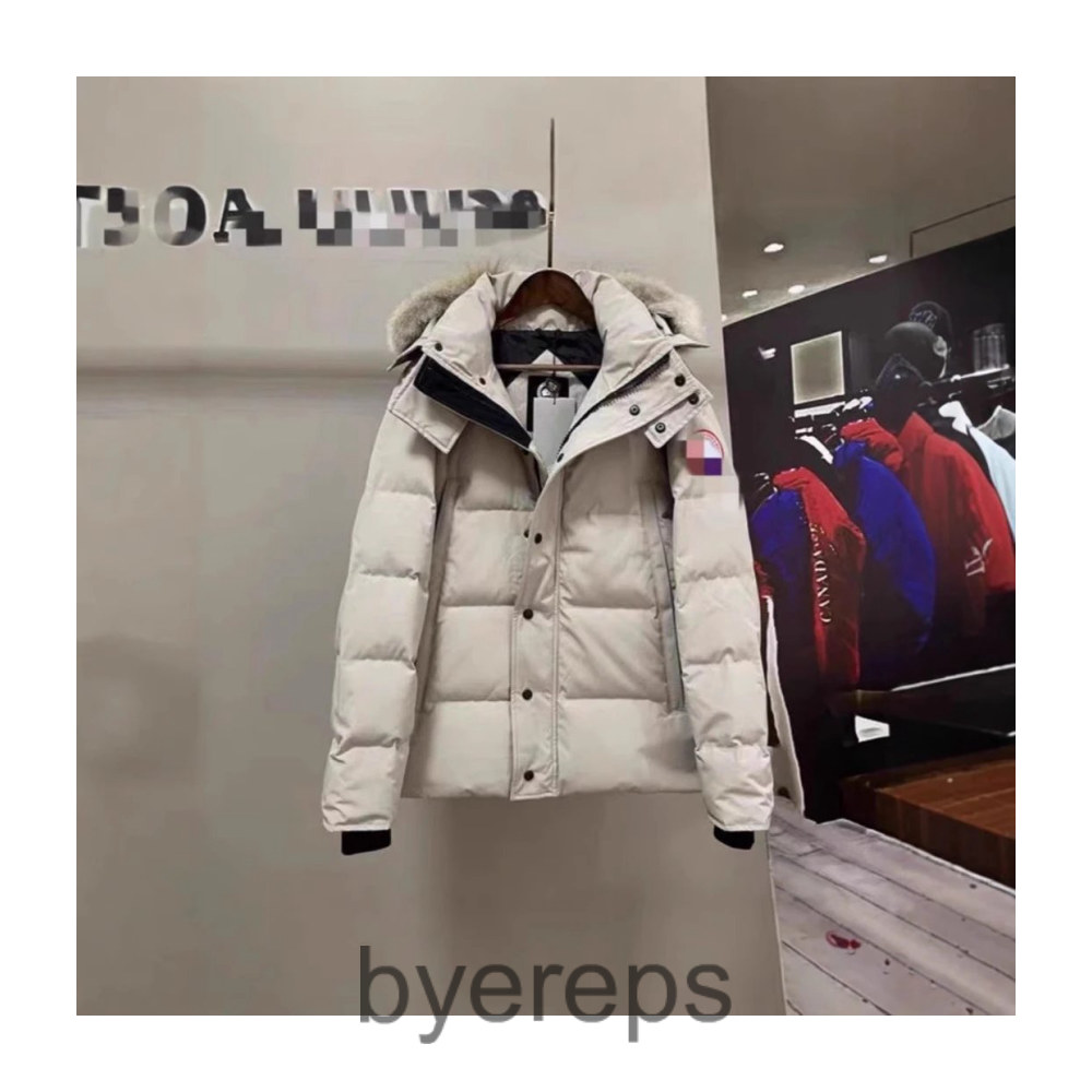 Unbranded Canada goose puffers — photo 4 of 4