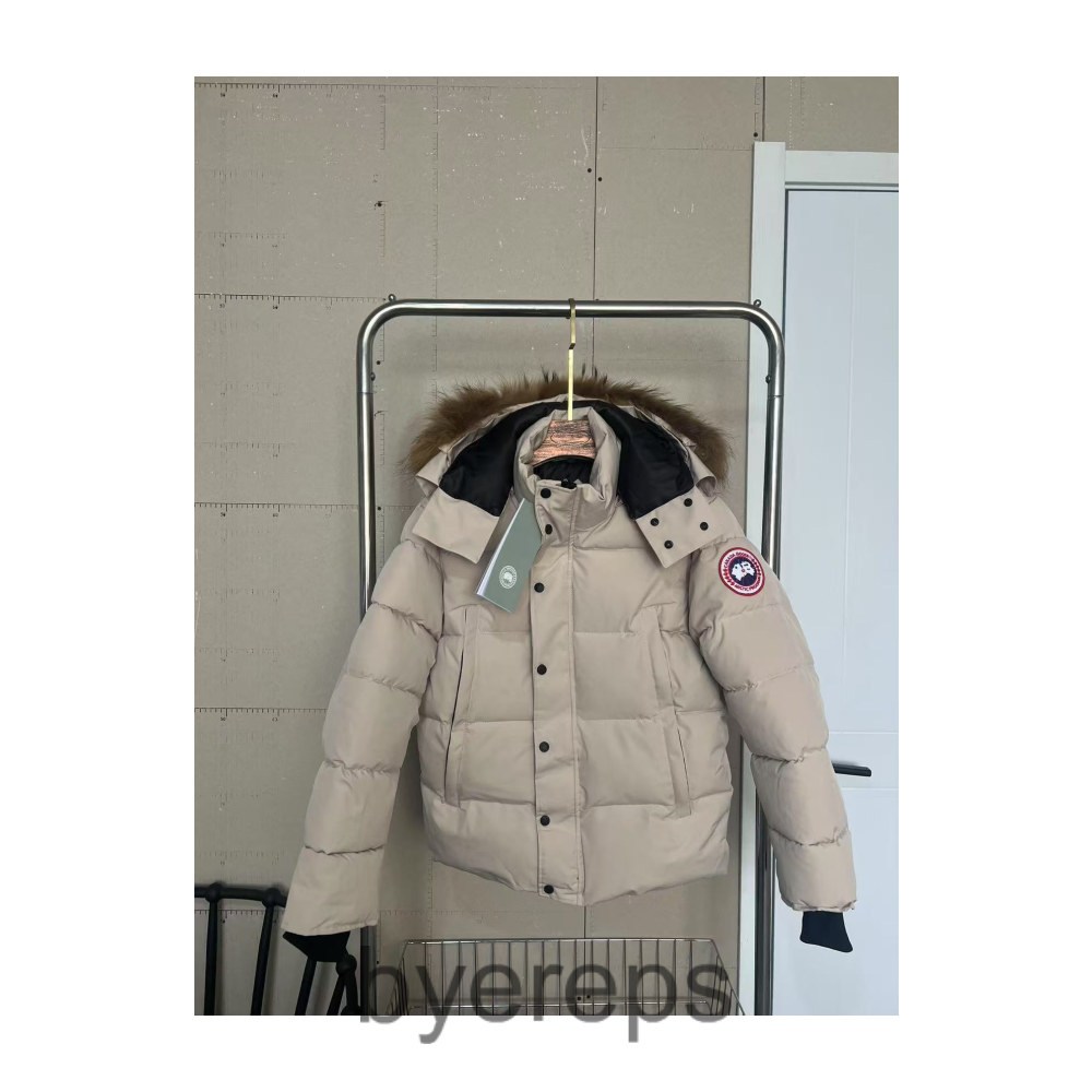 Unbranded Canada Goose Quilted Jacket — photo 2 of 4