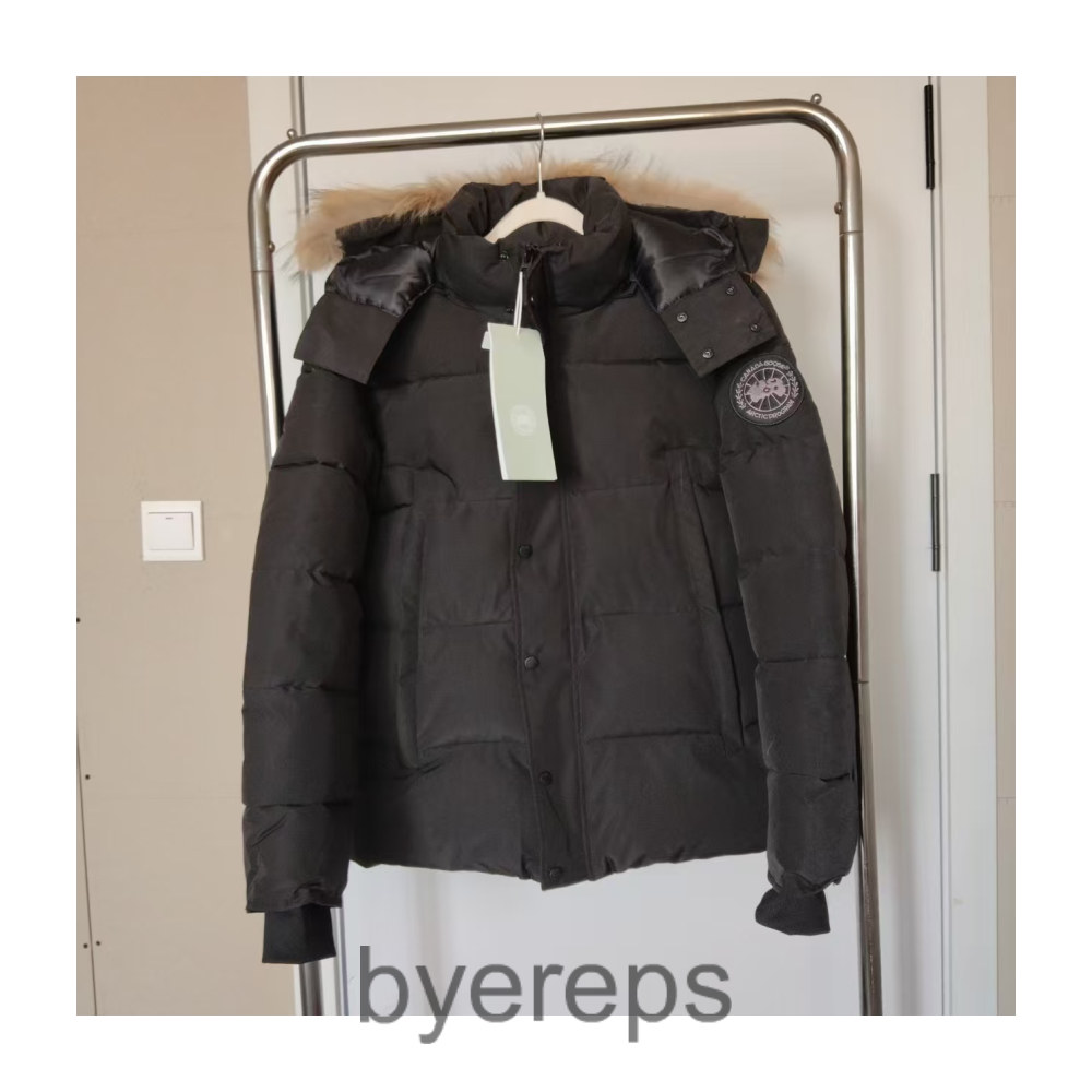 Unbranded Canada Goose Quilted Jacket — photo 4 of 4