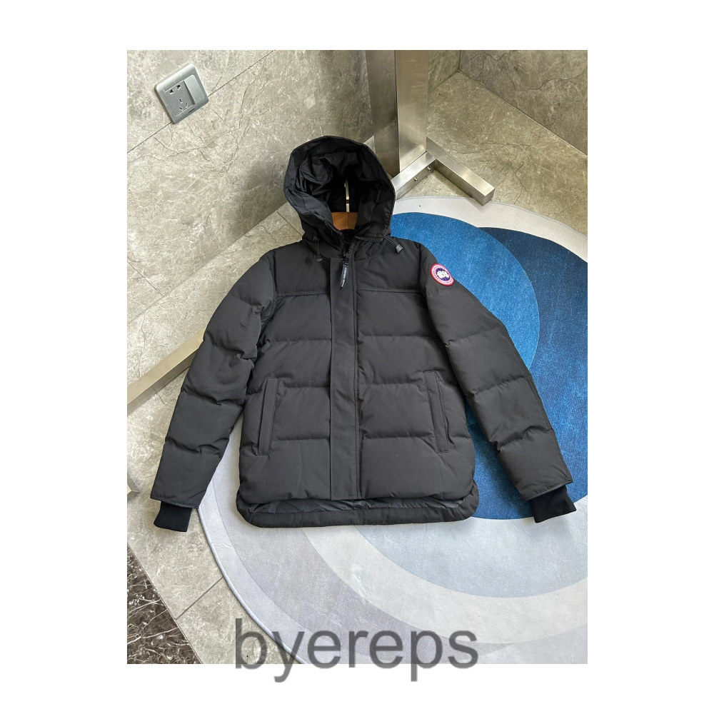 Unbranded Canada Goose wyndham jacket — photo 4 of 4