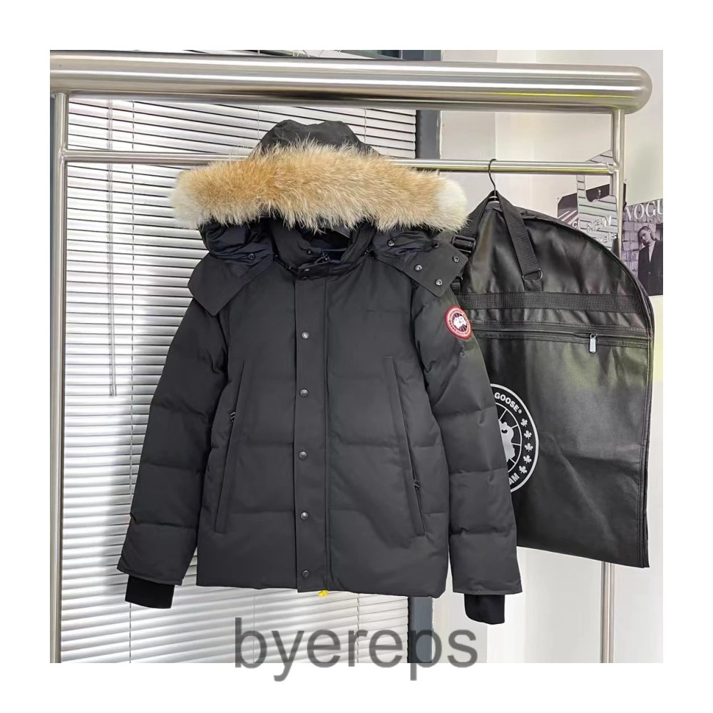 Unbranded Canada Goose wyndham jacket — photo 2 of 4
