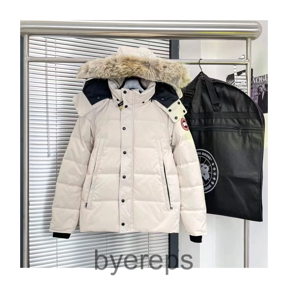 Unbranded Canada Goose wyndham jacket — photo 4 of 4