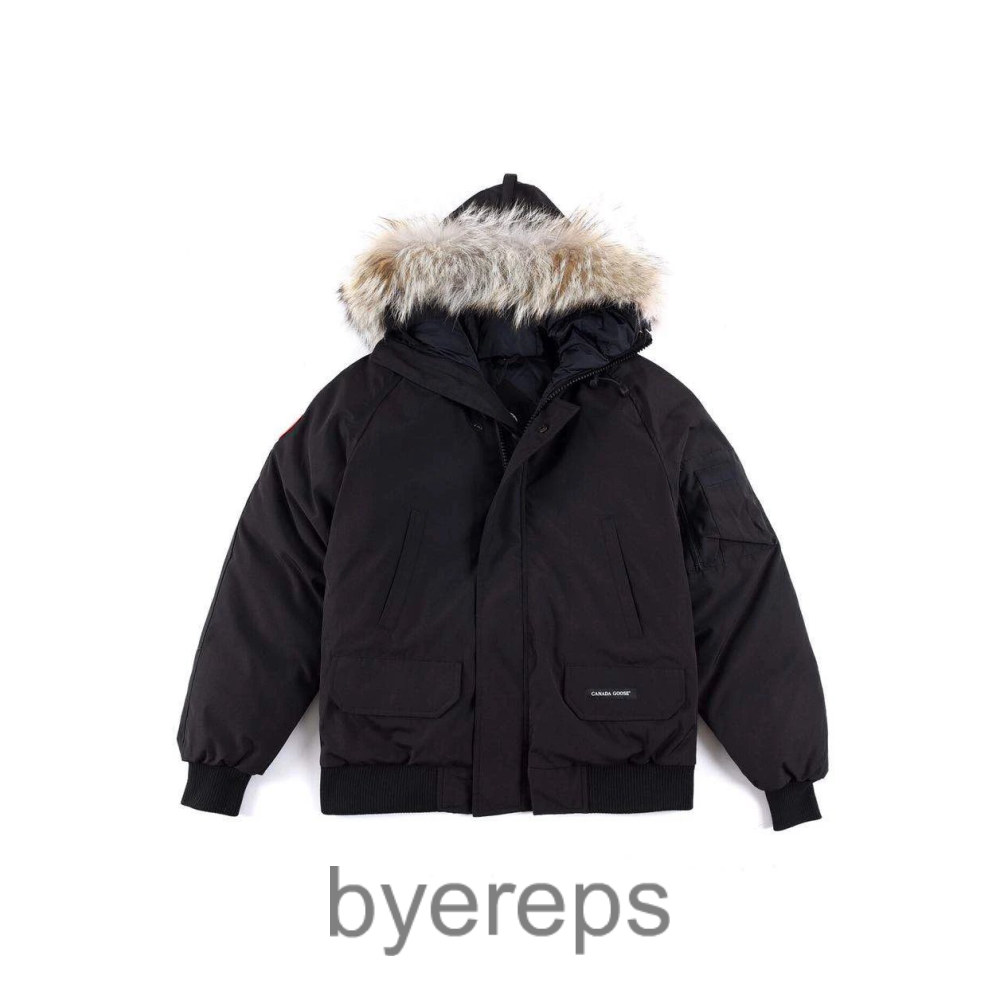 Unbranded Canada Goose wyndham jacket — photo 3 of 4
