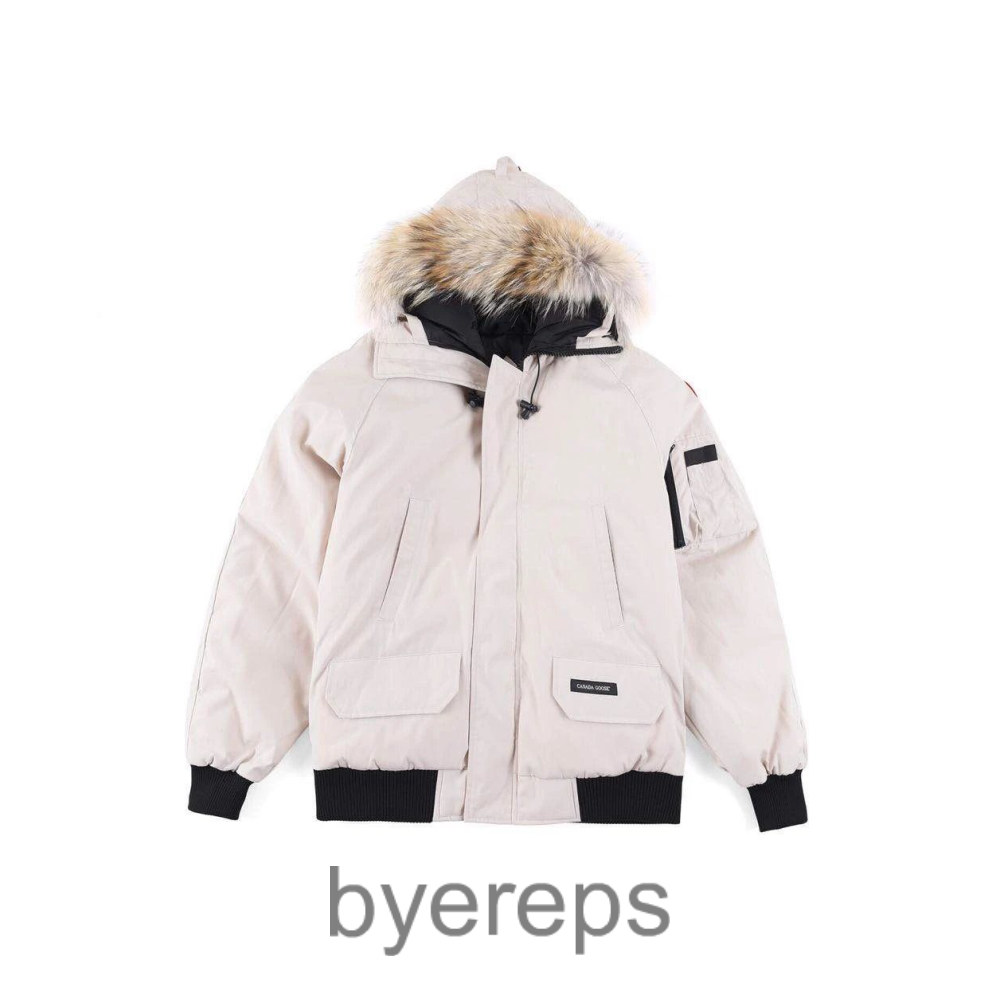 Unbranded Canada Goose wyndham jacket — photo 4 of 4
