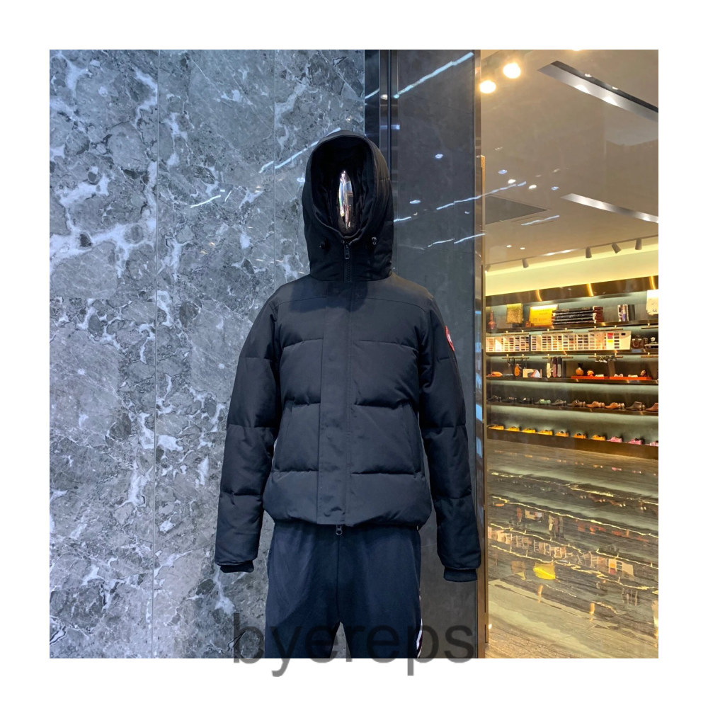 Unbranded Canada Goose wyndham jacket — photo 2 of 4