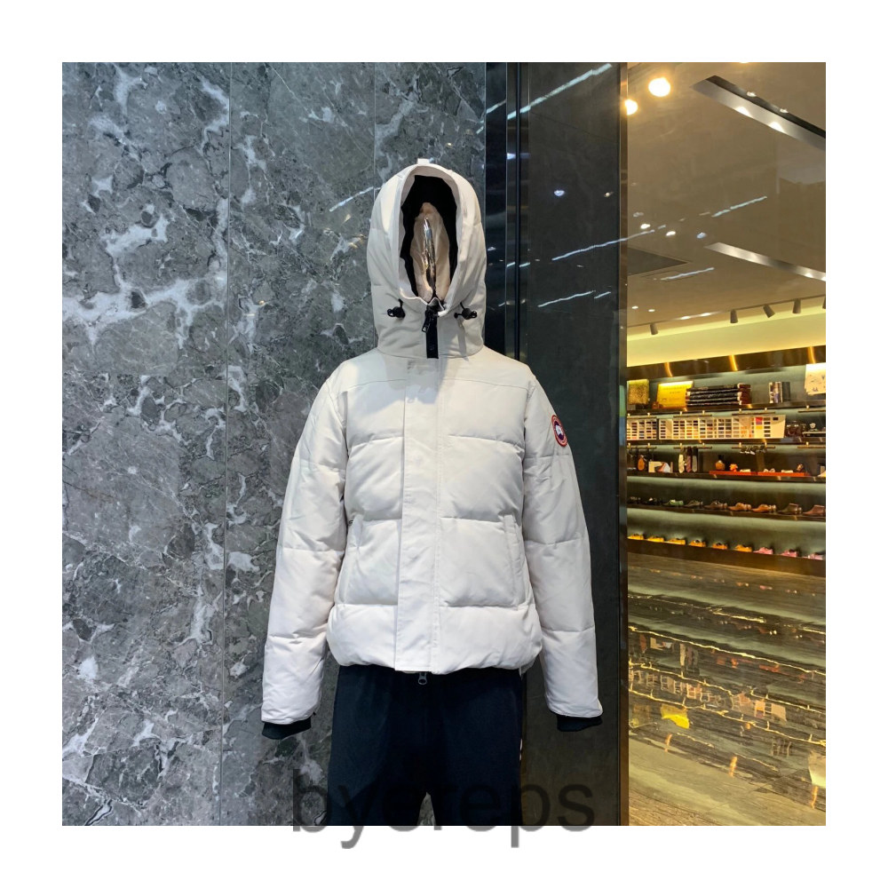 Unbranded Canada Goose wyndham jacket — photo 3 of 4