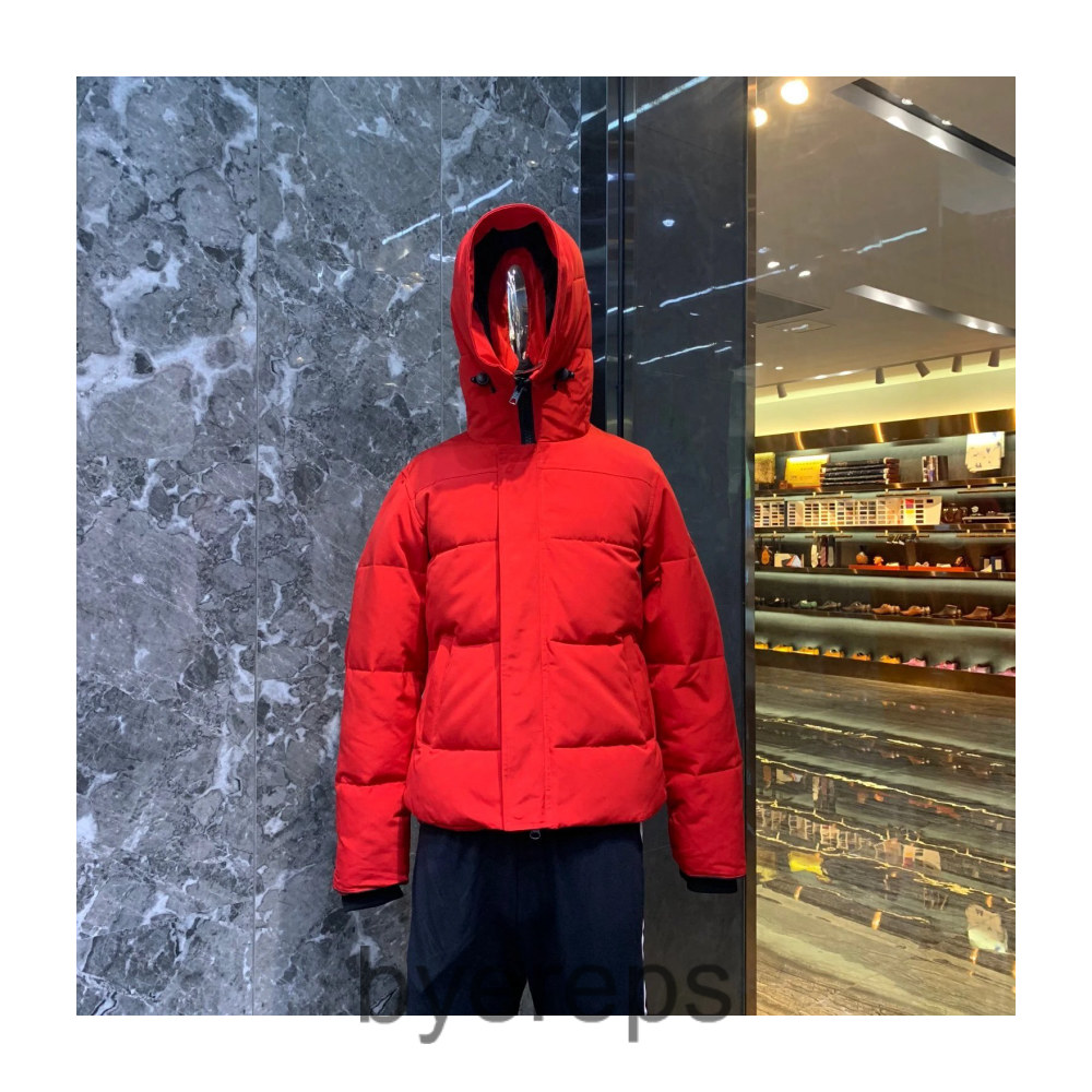 Unbranded Canada Goose wyndham jacket — photo 4 of 4