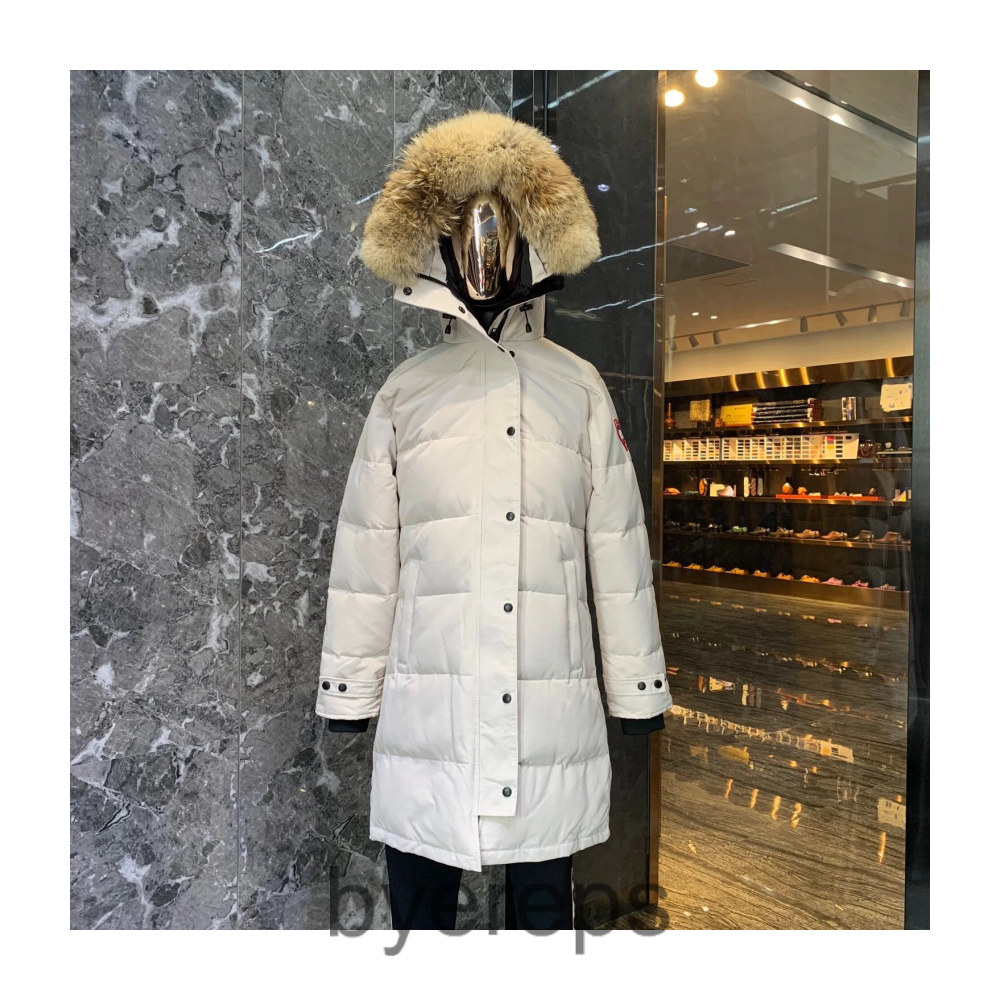 Unbranded Canada Goose wyndham jacket — photo 3 of 4