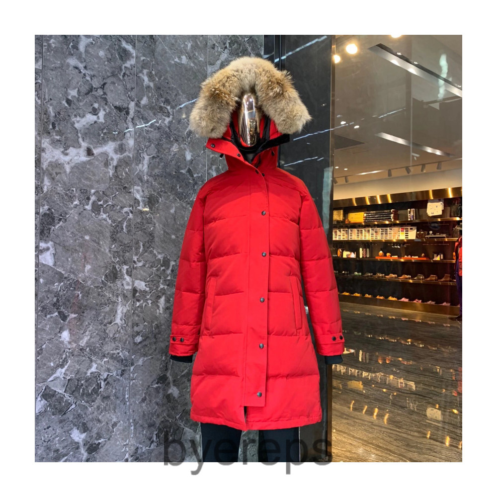 Unbranded Canada Goose wyndham jacket — photo 4 of 4