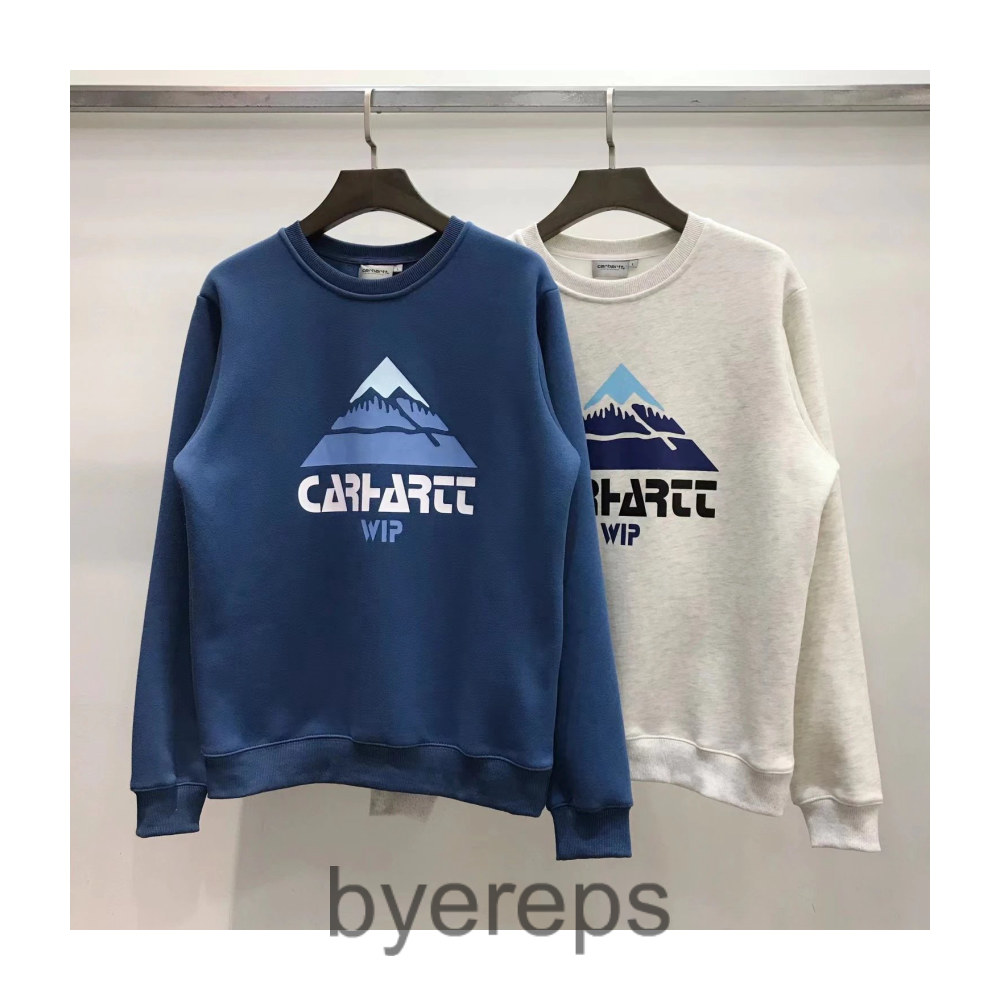 Carhartt sweater ( has blue also )