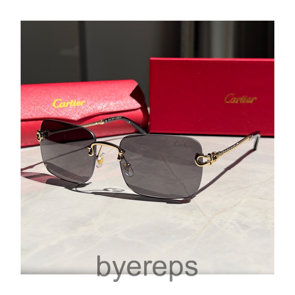 Unbranded Cartier sunglasses (40 colorways) — photo 3 of 4