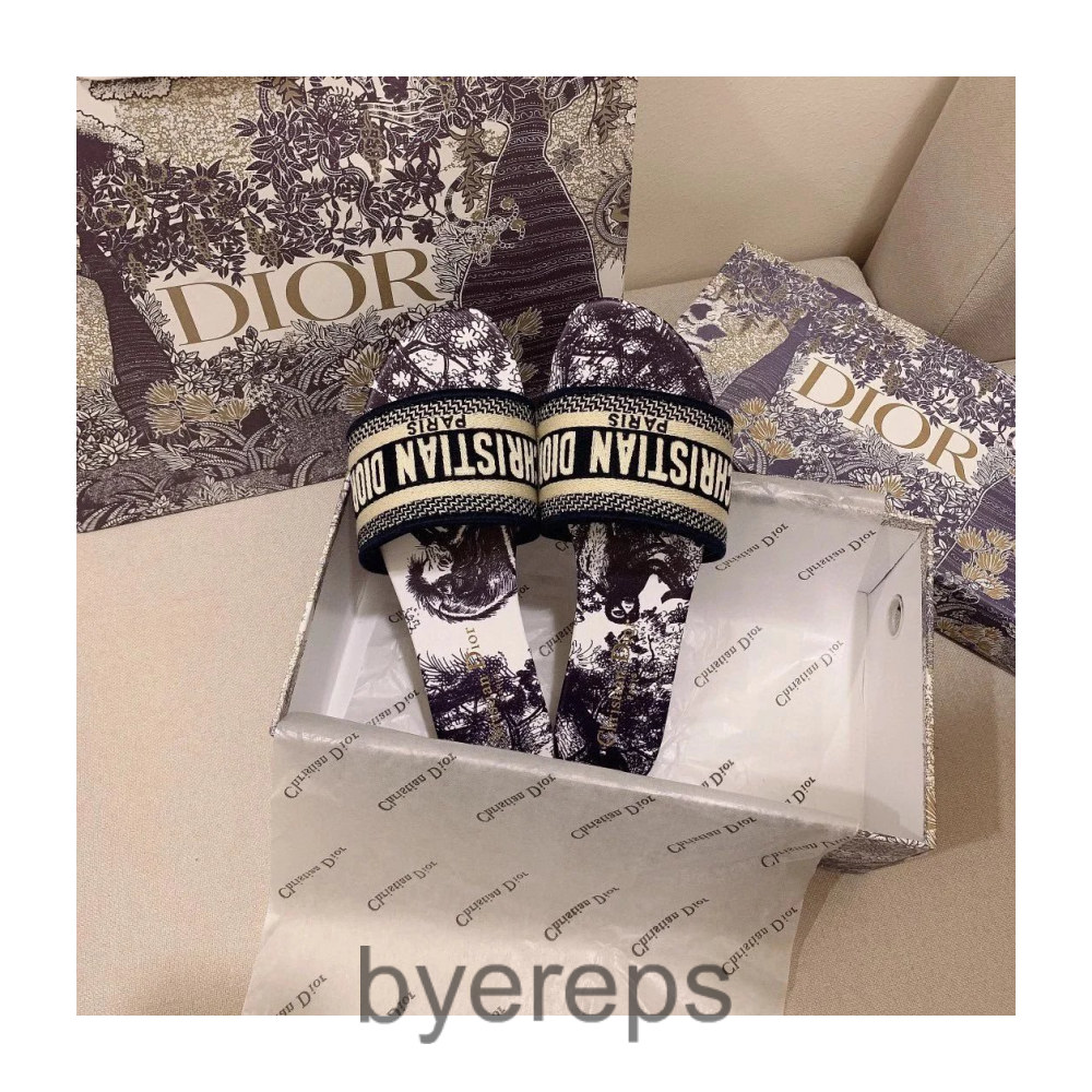 Dior Alpha Slides