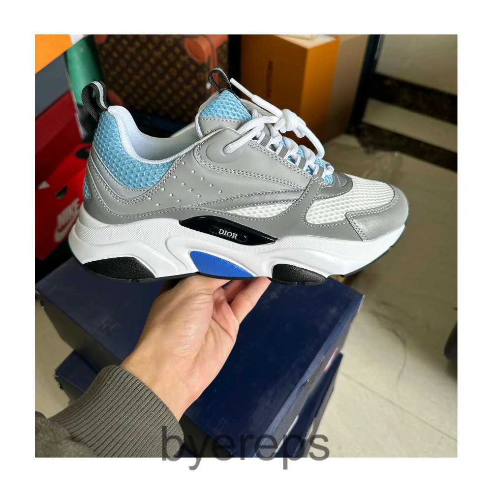 Dior B22