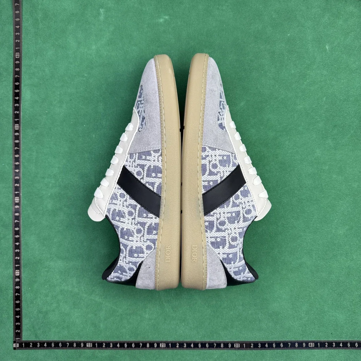 Dior B27 Low