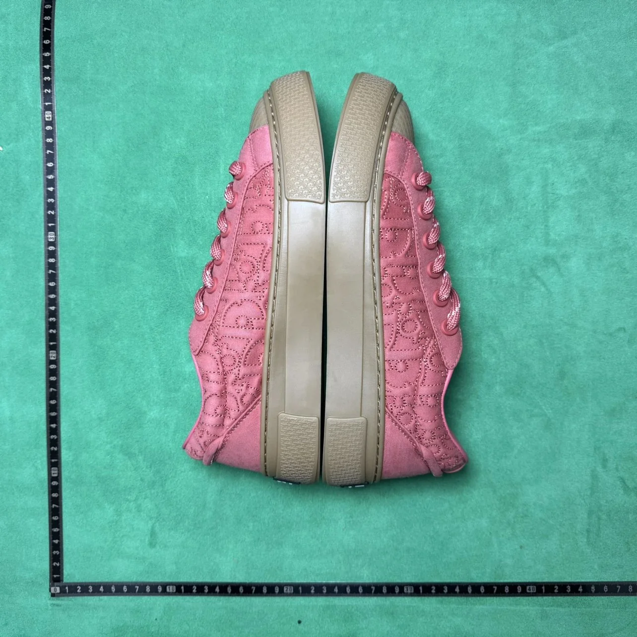 Dior B33
