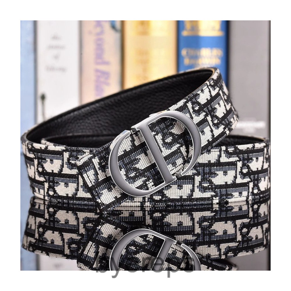 Dior Belt — photo 3 of 4