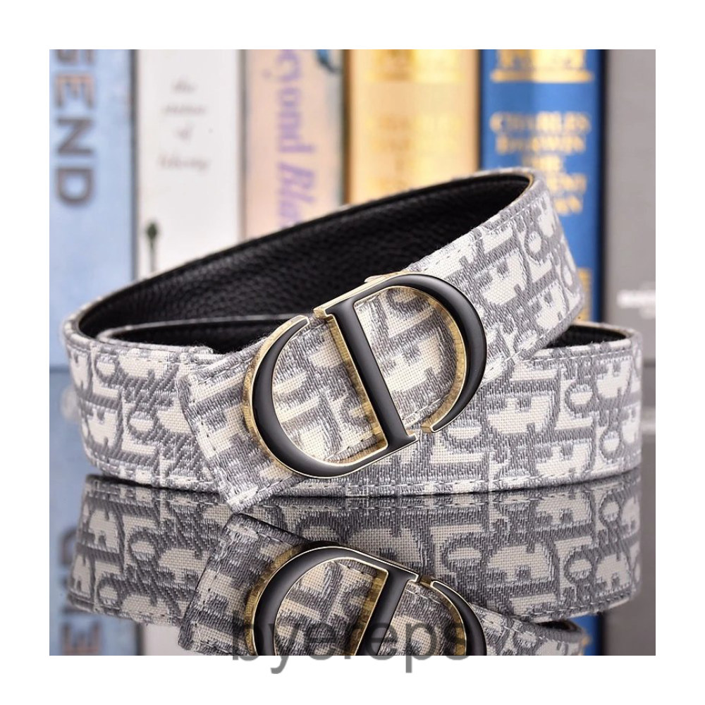 Dior Belt — photo 4 of 4