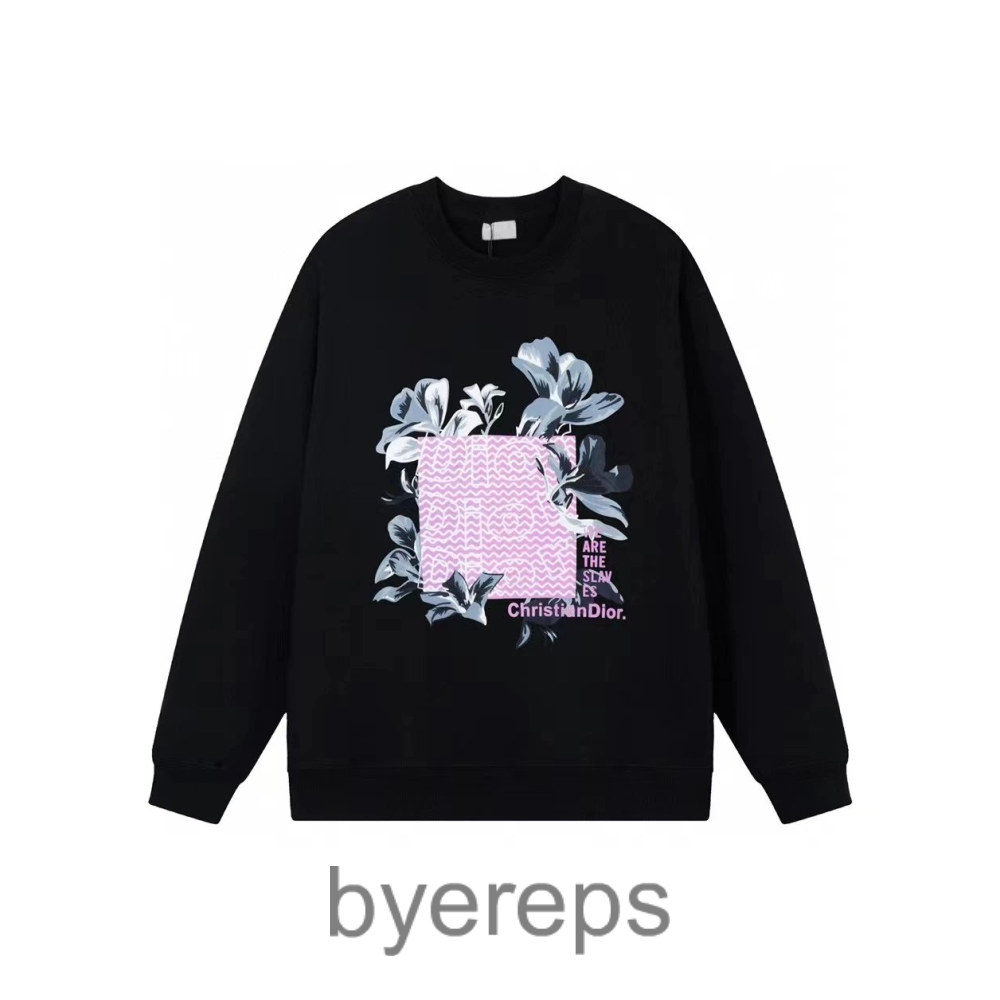 Dior crewnecks ( 6+ colors ) — photo 3 of 4