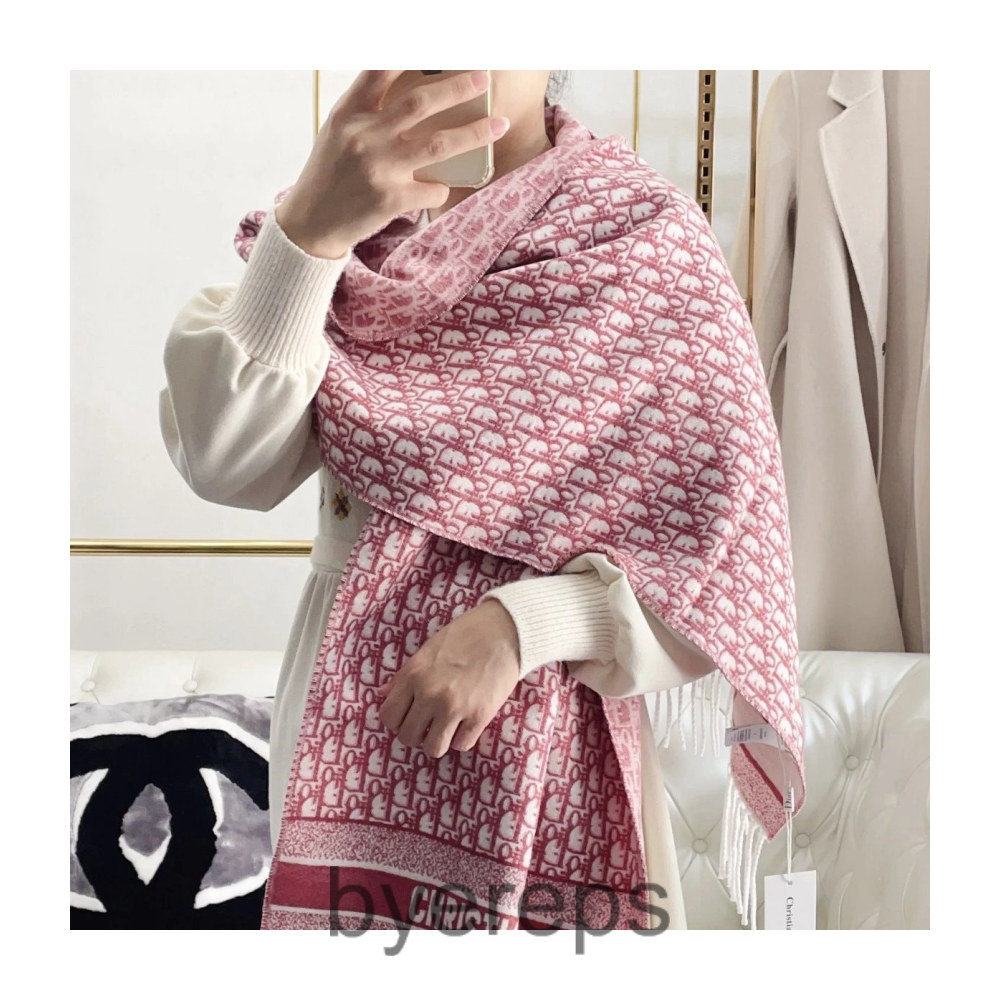 Dior Scarf