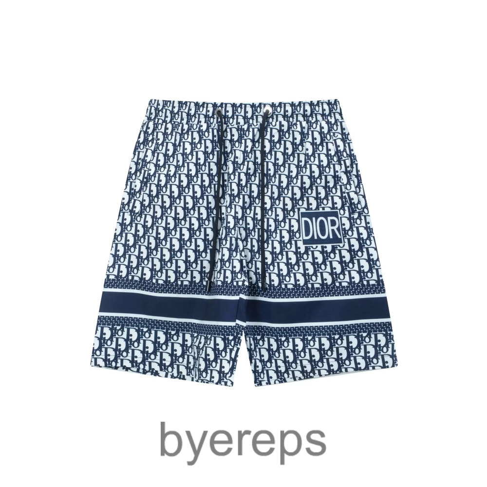 Dior Swim Mesh Shorts
