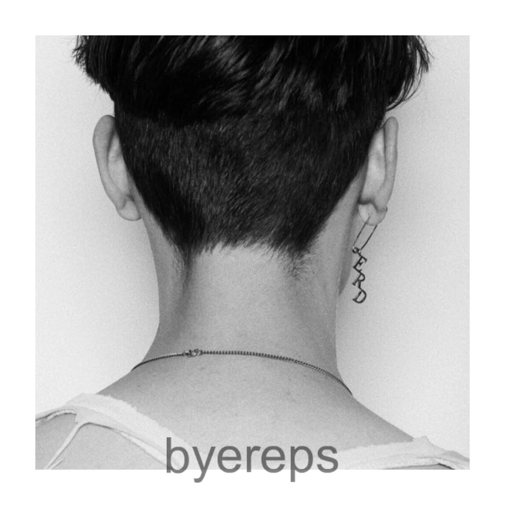 ERD Earrings