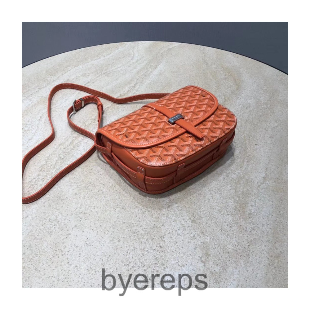 Goyard Bag — photo 3 of 4