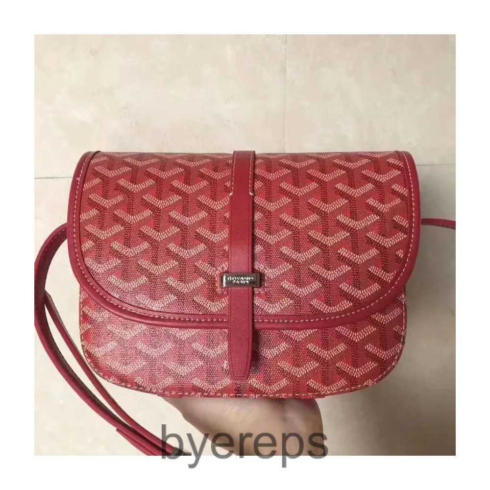Goyard Bag — photo 4 of 4