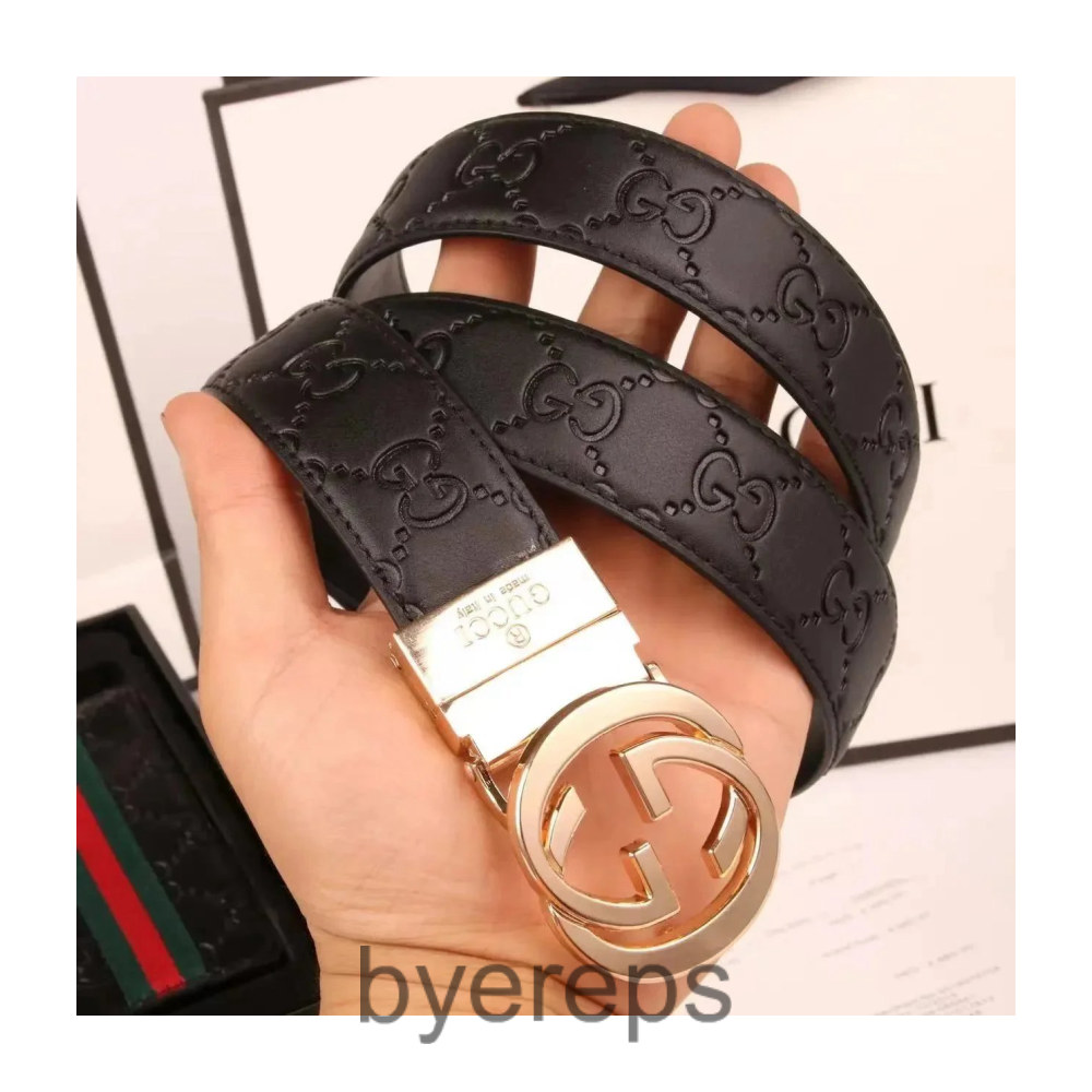 Goyard MM Bag