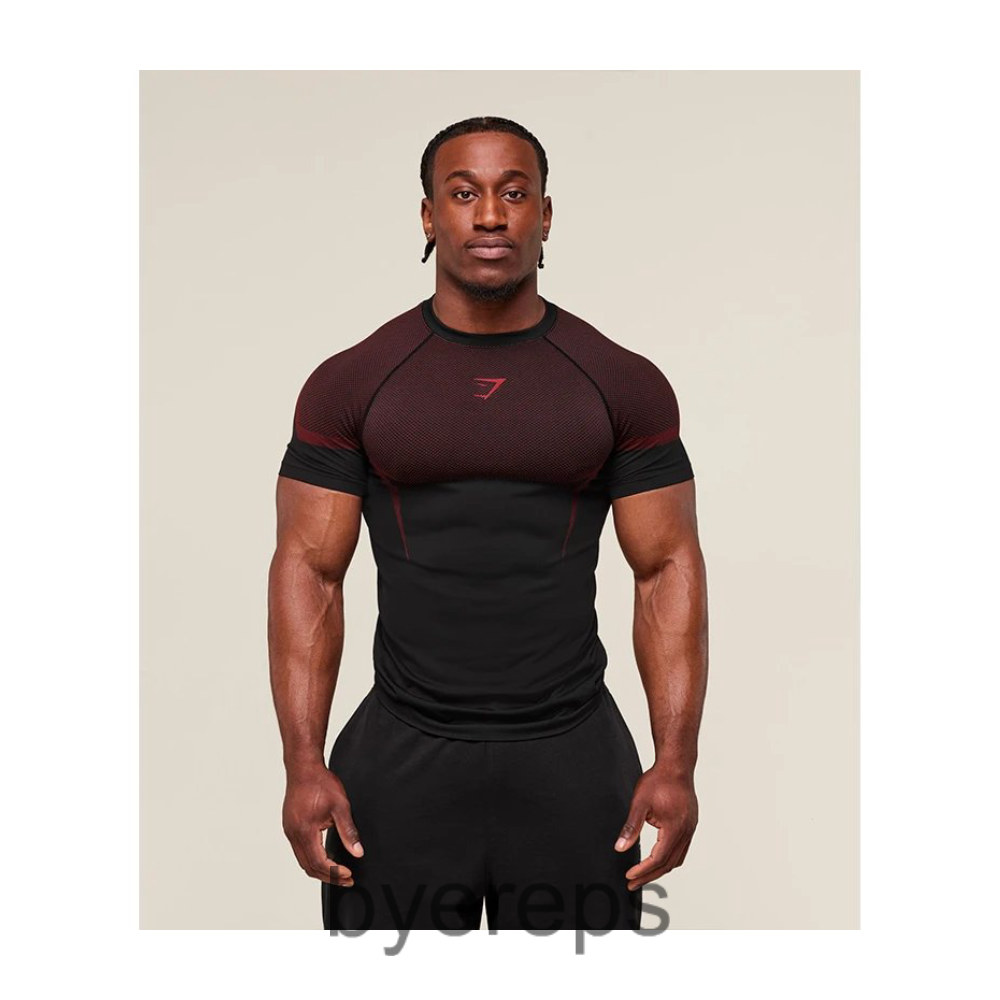 Gymshark Elite Seamless T-Shirts (david laid) — photo 3 of 4